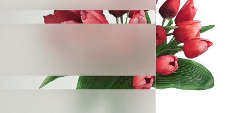 Pirnar-eingangstuer-verglasungen-c-klarglas-mit-motiv