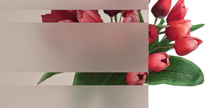 Pirnar-eingangstuer-verglasungen-c-parsol-braun-mit-motiv