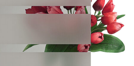 Pirnar-eingangstuer-verglasungen-c-parsol-grau-mit-motiv