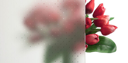 Pirnar-eingangstuer-verglasungen-c-pave-weiss-glas