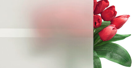 Pirnar-eingangstuer-verglasungen-c-satinato-weiss-mit-motiv