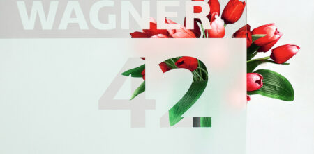 Pirnar-eingangstuer-verglasungen-motiv-nach-wunsch