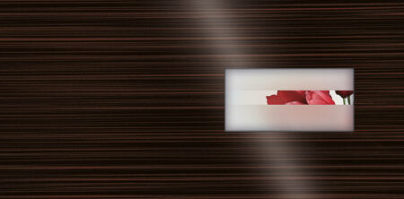 Pirnar-eingangstuer-verglasungen-tueren-african-mystery-glanz-glas-gruppe-d